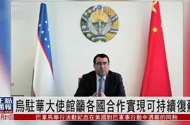 乌兹别克斯坦球队在洲际比赛中展现实力