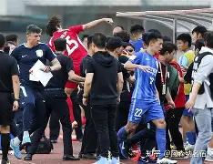 爱游戏-足球裁判判罚错误有处罚吗